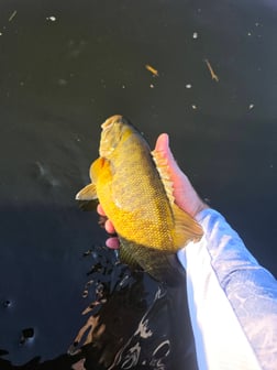Fishing in Brainerd, Minnesota