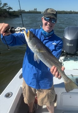 Snook Fishing in Bradenton, Florida