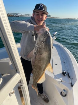 Fishing in Orange Beach, Alabama