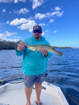 Fishing in Crystal River, Florida