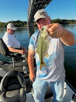 Fishing in Cape Fair, Missouri