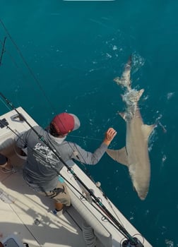 Fishing in Key West, Florida