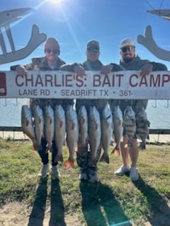Hunting in Port O'Connor, Texas
