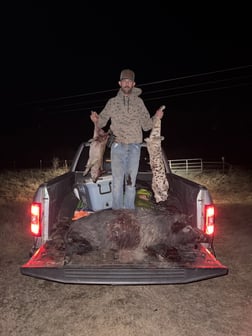 Hunting in Rising Star, Texas