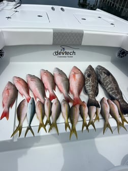 Fishing in Key West, Florida