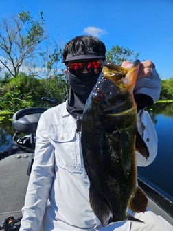 Fishing in Deerfield Beach, Florida