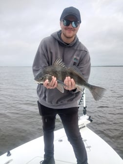 Fishing in Lafitte, Louisiana