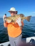 Fishing in Punta Gorda, Florida