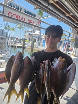 Fishing in Islamorada, Florida