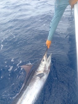 Fishing in Quepos, Costa Rica