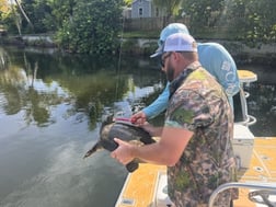 Fishing in Miami, Florida