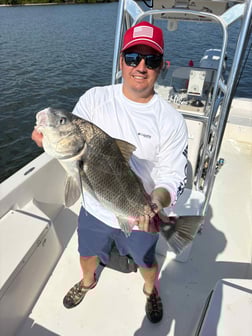 Fishing in Sarasota, Florida