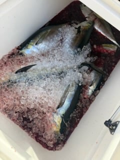 Fishing in Stuart, Florida