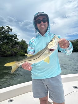 Fishing in Sarasota, Florida