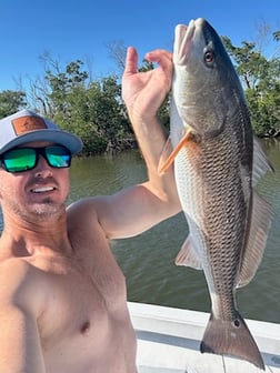 Fishing in Saint James City, Florida