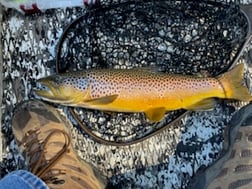 Fishing in Heber Springs, Arkansas