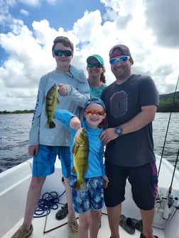 Fishing in Dorado, Puerto Rico