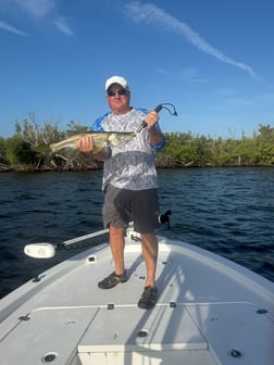Fishing in Port Charlotte, Florida