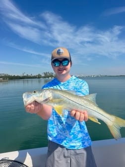 Fishing in Sarasota, Florida