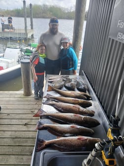 Fishing in Lafitte, Louisiana