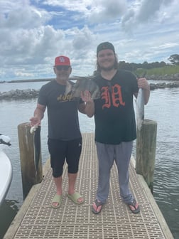 Spadefish, Spanish Mackerel fishing in Gulf Shores, Alabama