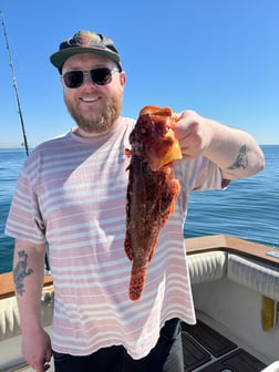 Fishing in Los Angeles, California