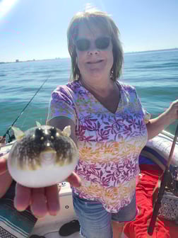 Fishing in Fort Myers Beach, Florida