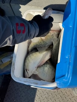 Fishing in Warsaw, Missouri