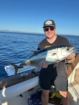Fishing in Los Angeles, California