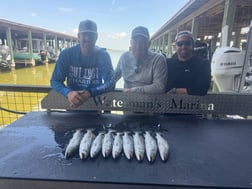 Fishing in Galveston, Texas