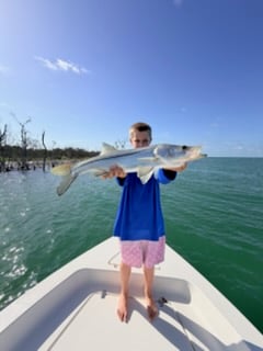 Fishing in Goodland, Florida