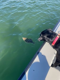 Fishing in Galveston, Texas
