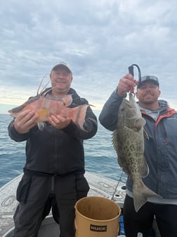 Fishing in Tampa, Florida