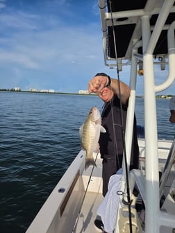 Fishing in Sarasota, Florida