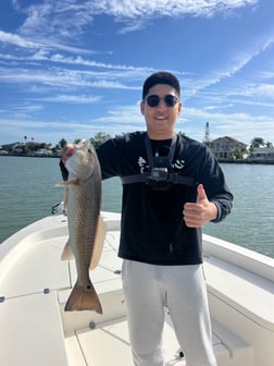 Fishing in Indian Shores, Florida