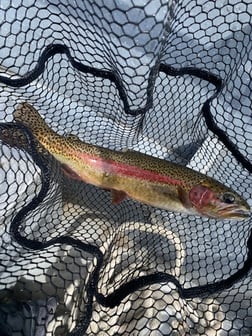 Fishing in Florence, Oregon