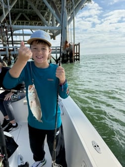 Fishing in Gulf Shores, Alabama