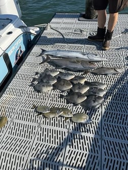 Fishing in Morehead City, North Carolina