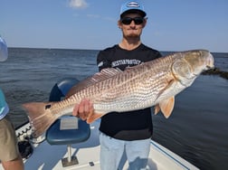Black Drum, Redfish Fishing in Sulphur, Louisiana