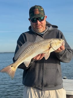 Fishing in St. Petersburg, Florida