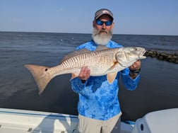 Black Drum, Redfish Fishing in Sulphur, Louisiana