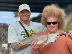 Fishing in Sarasota, Florida