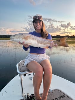 Fishing in Nocatee, Florida