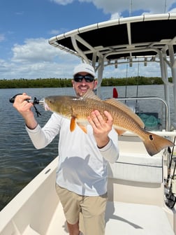 Fishing in Sarasota, Florida