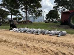 Hunting in Garwood, Texas