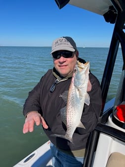 Fishing in Tarpon Springs, Florida