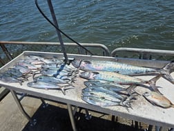 Fishing in Jacksonville, Florida