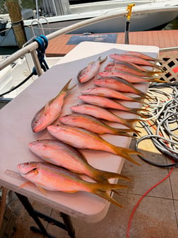 Fishing in Miami, Florida