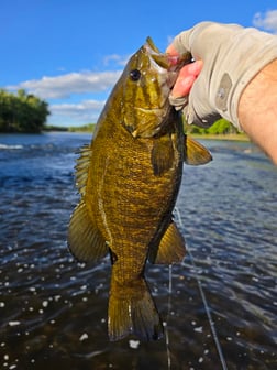 Fishing in Brainerd, Minnesota