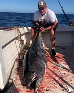 Bluefin Tuna Fishing in San Diego, California